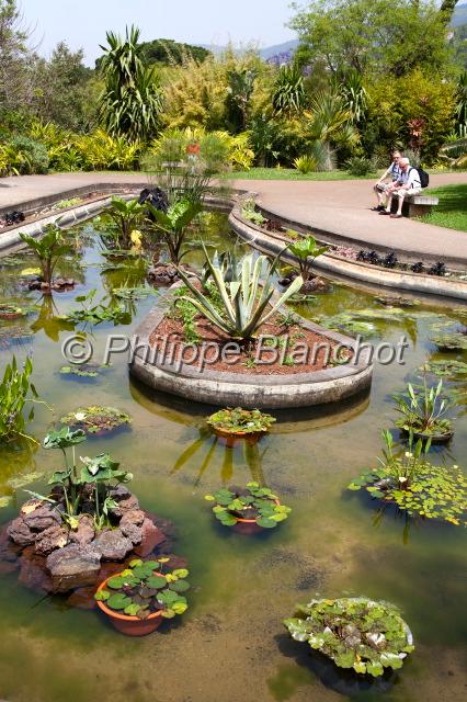 madere 24.JPG - Bassin, Jardin botanique de Funchal, Madère, Portugal